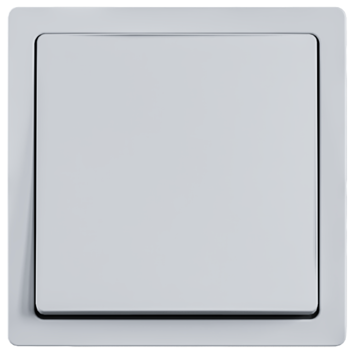 Switch