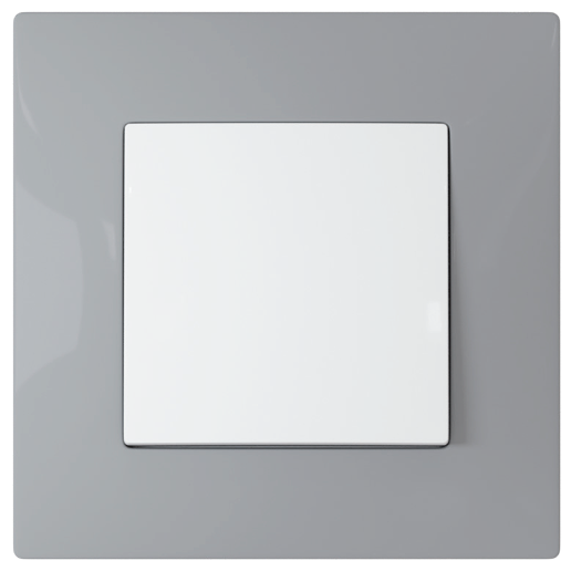 Switch